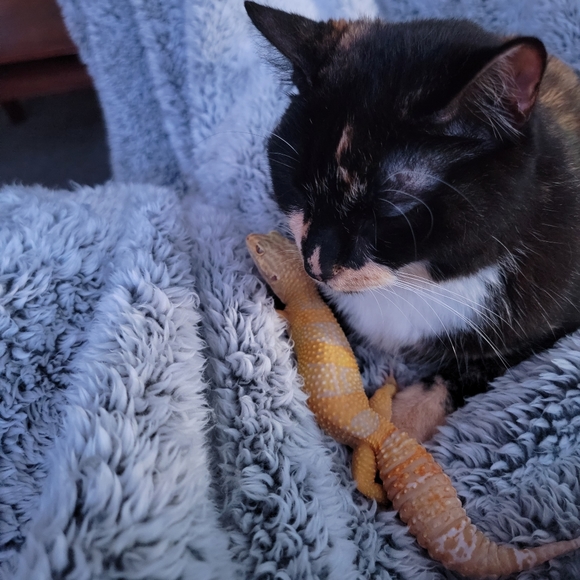 Too shy to make an offer? - Picture 9 of 10